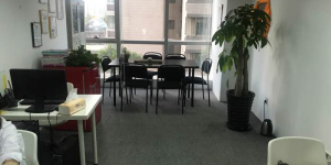 上海櫻本投資咨詢(xún) 專(zhuān)業(yè)服務(wù)，賦能企業(yè)戰(zhàn)略與資本決策